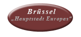 Brssel Haupstadt Europas