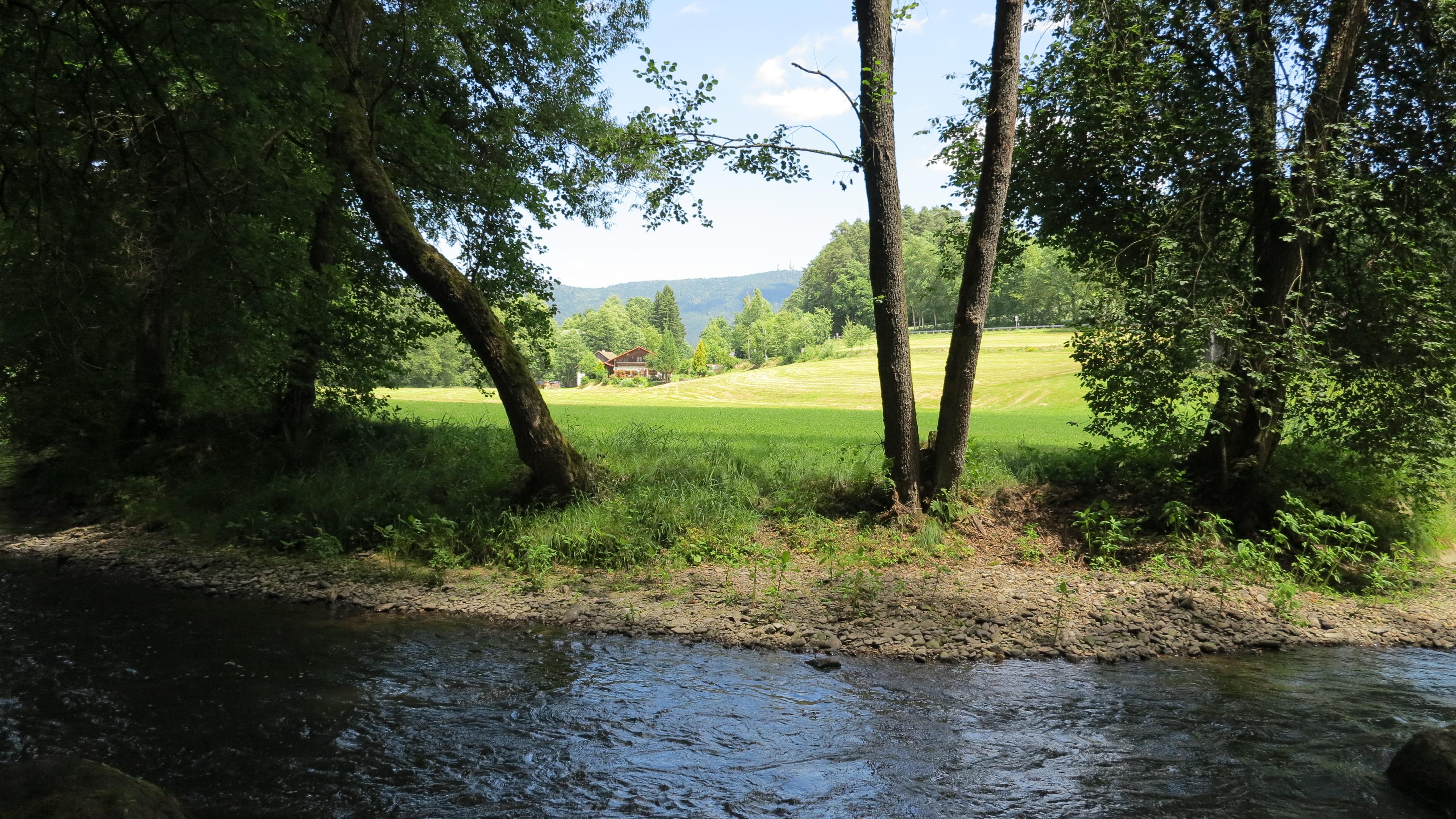 Der Weiße Regen fließt vom kleinen Arbersee direkt am Greifvogelpark vorbei.