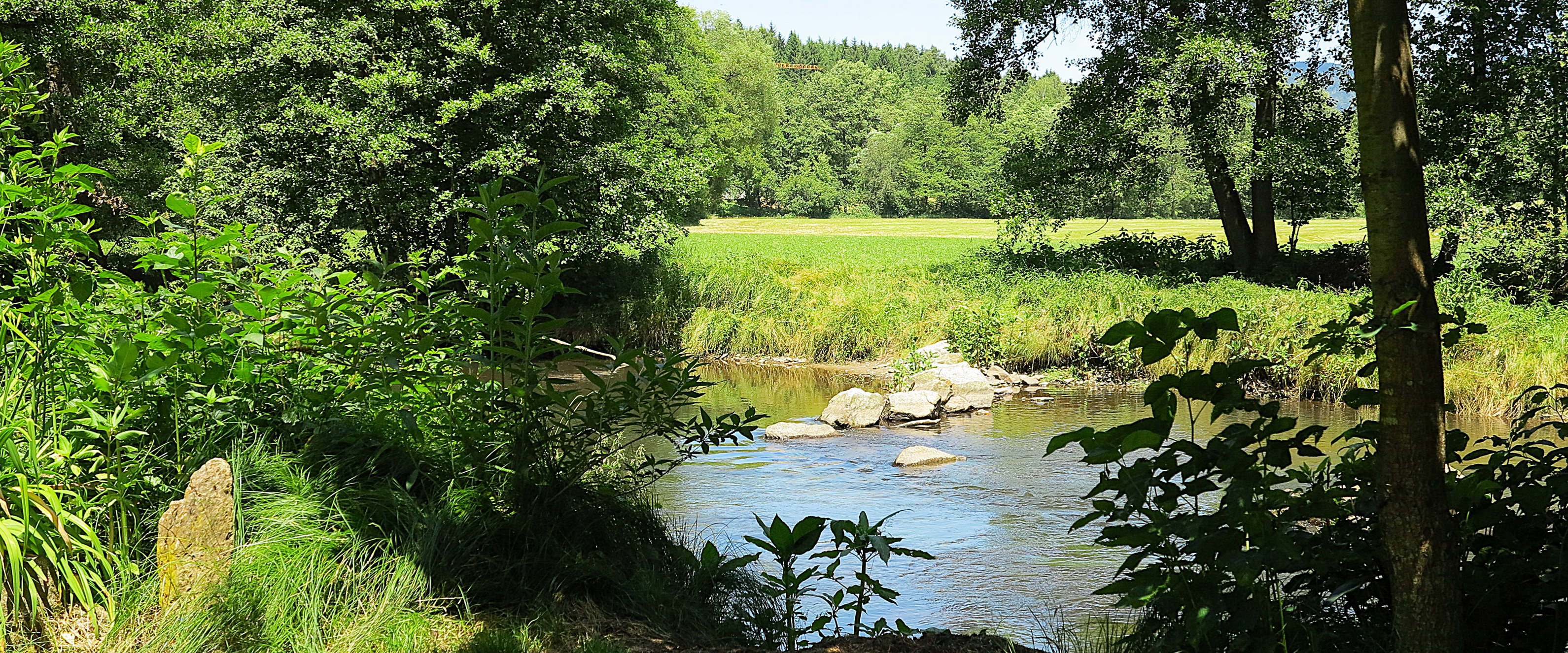 Idyllische Landschaft am Weißen Regen.
