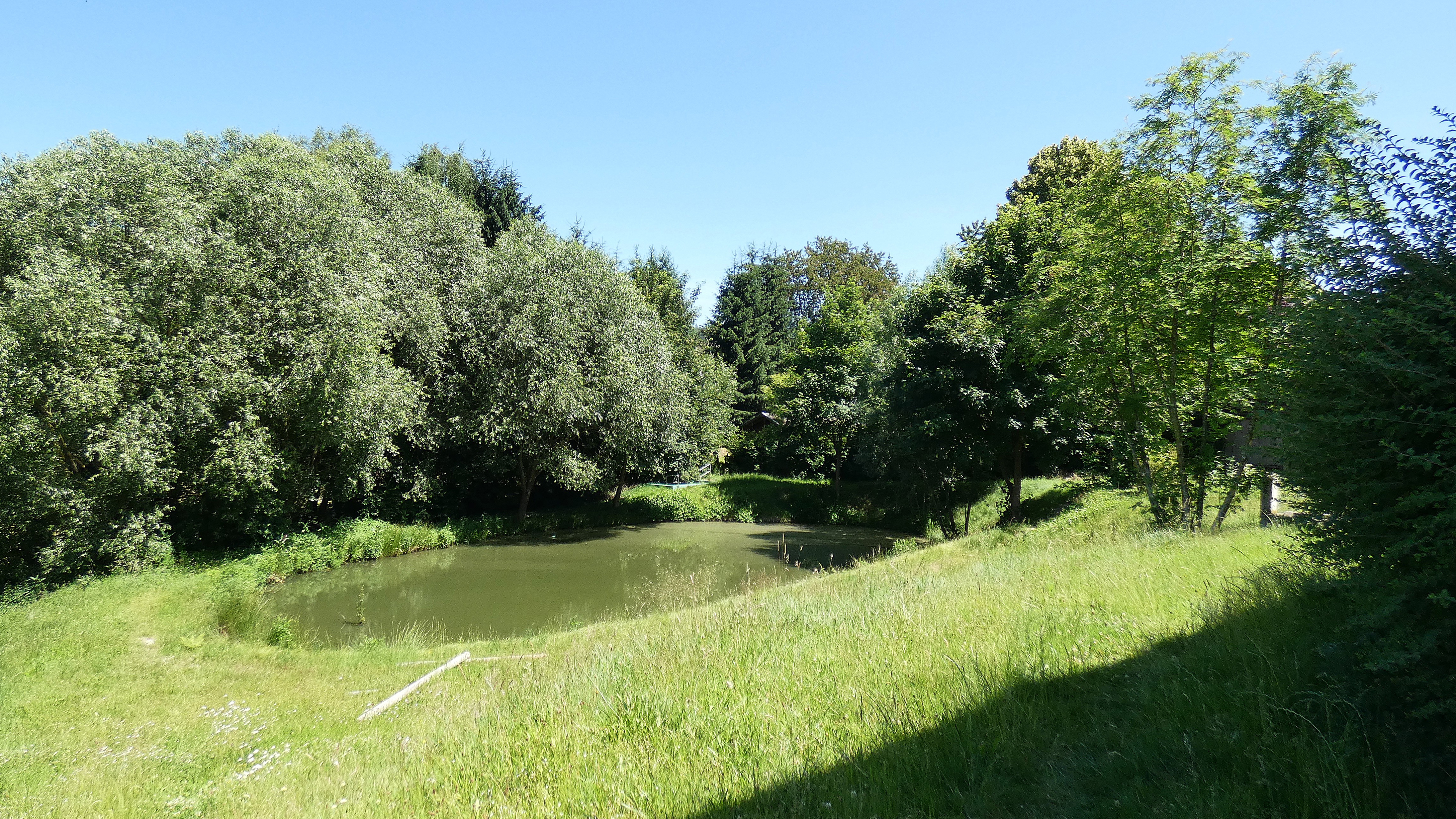 Kleiner Teich im Hotelgarten.
