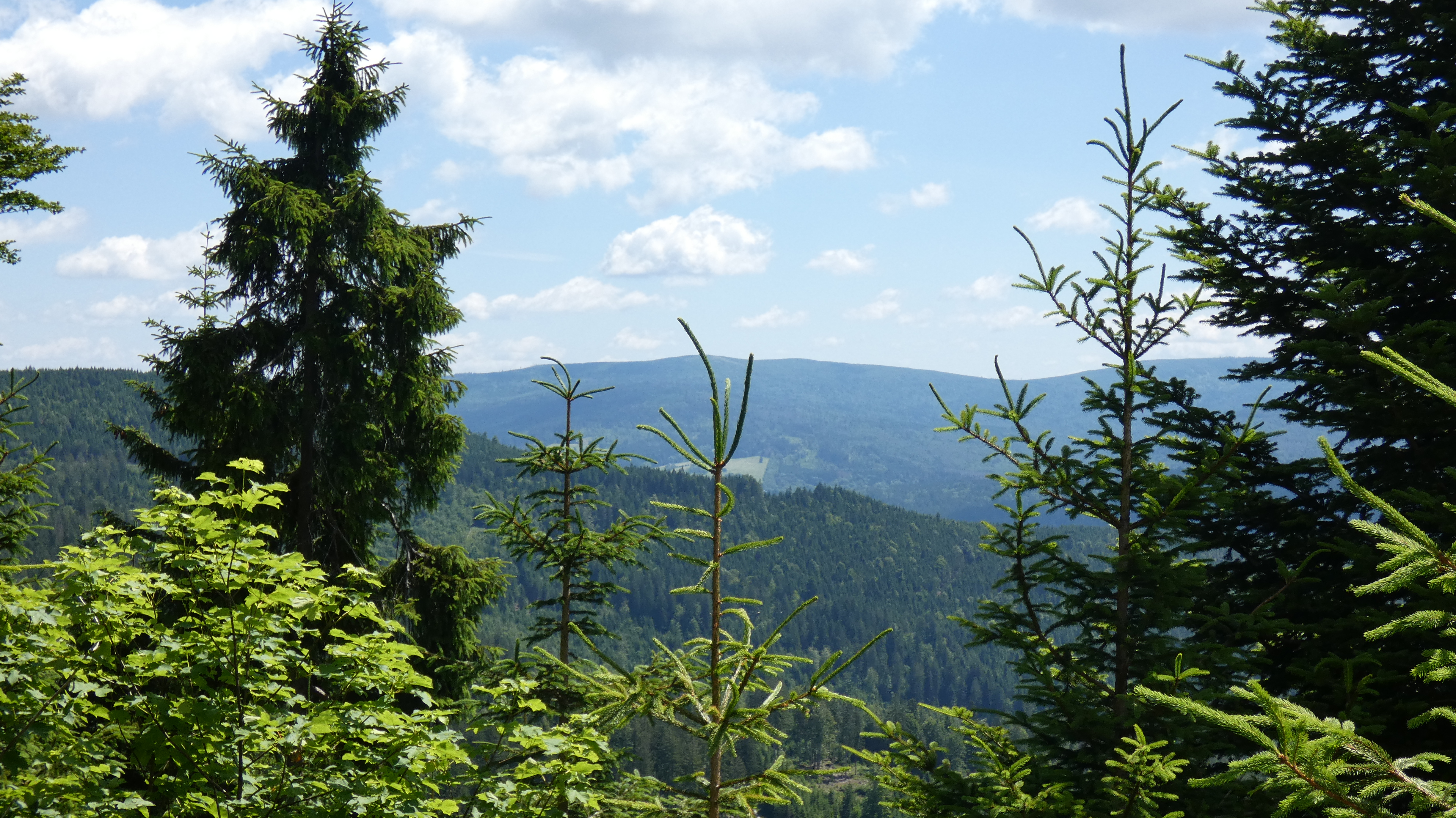 Hier kann man noch weite Wälder und Höhen bewundern.