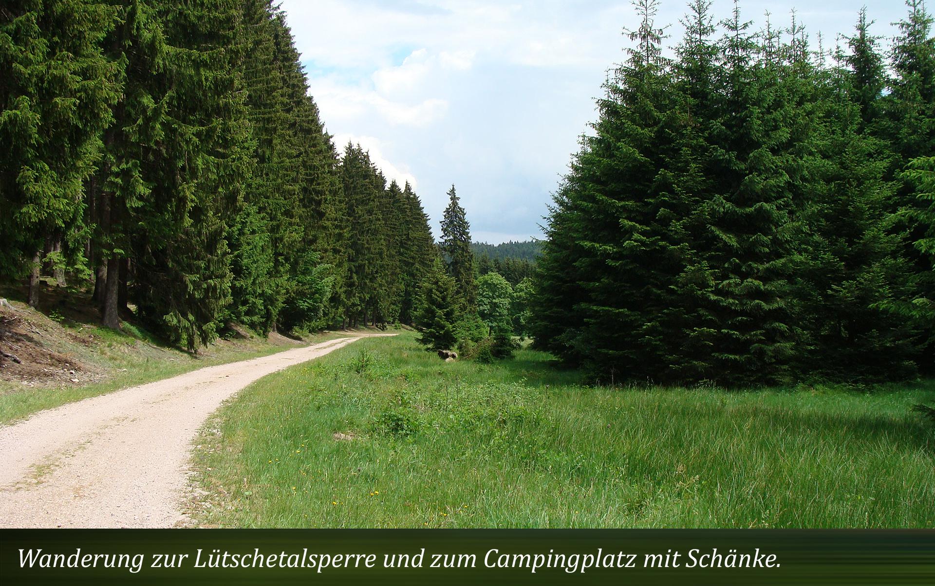 Wanderung zur Lütschetalsperre und zum Campingplatz mit Schänke.