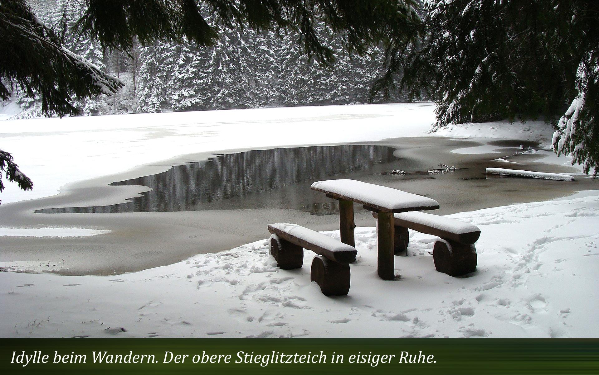 Idylle beim Wandern. der obere Stieglitzteich in eisiger Ruhe.