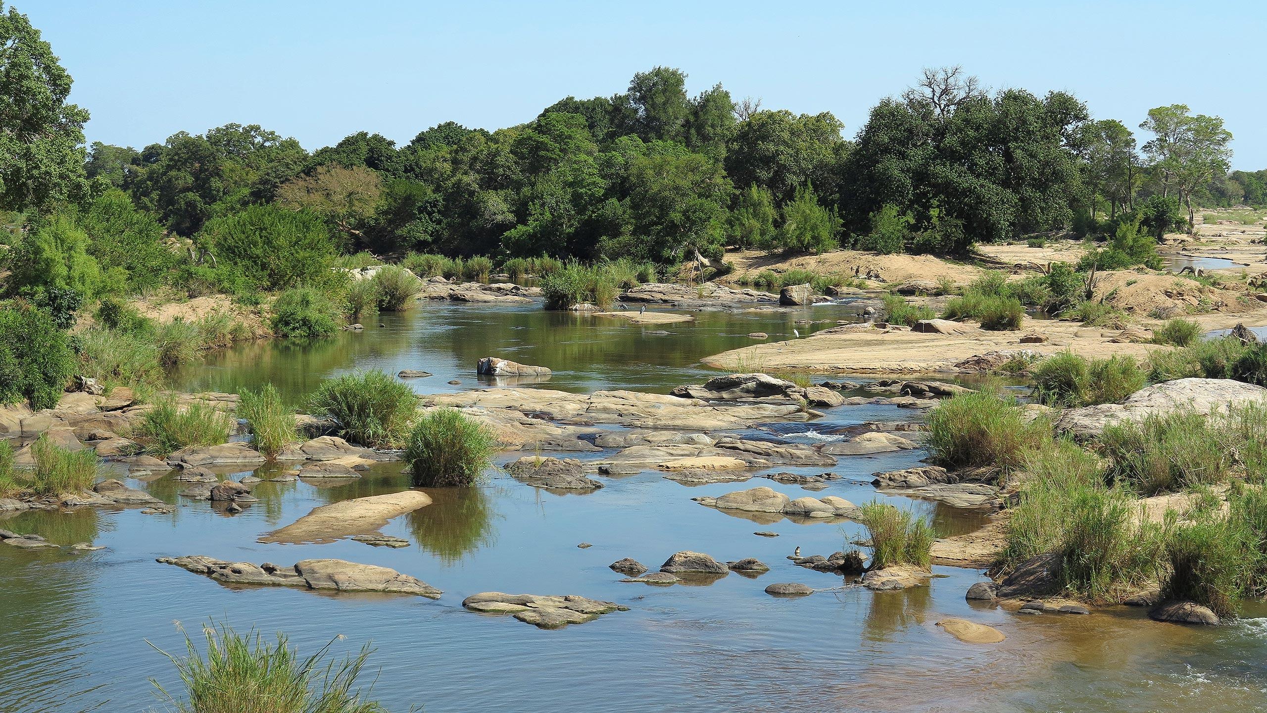 Die Landschaft im Krüger Nationalpark ist wild und wundervoll und kann typischer für eine Savanne nicht sein.